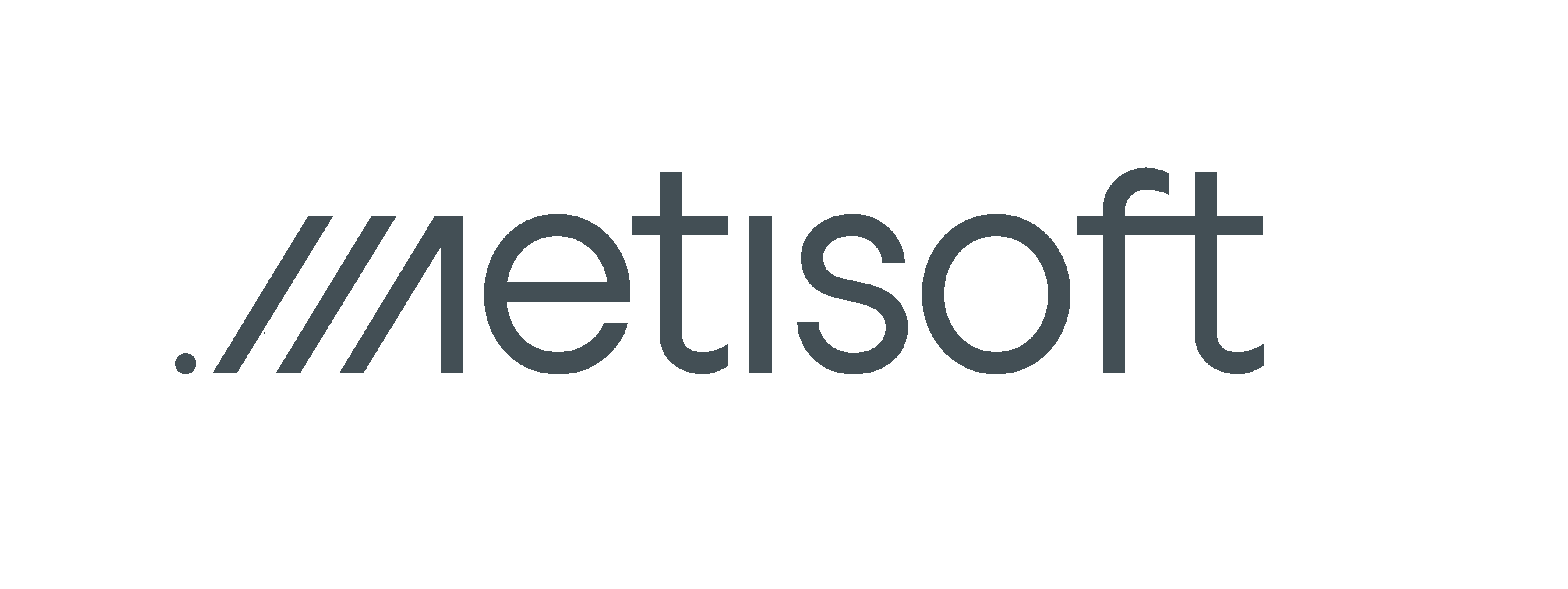 logo metisoft